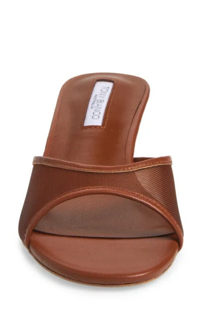 Tony Bianco Pru Kitten Heel Slide Sandal In Brown