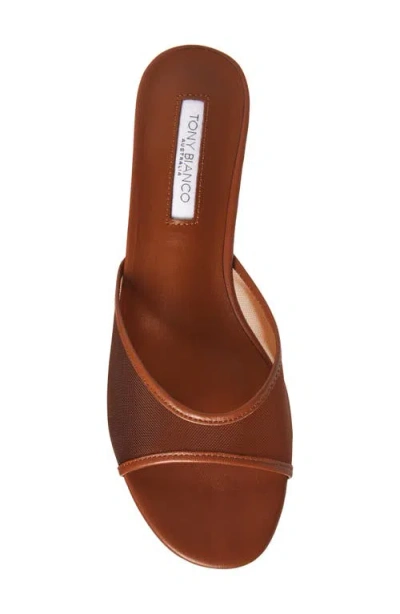 Tony Bianco Pru Kitten Heel Slide Sandal In Brown