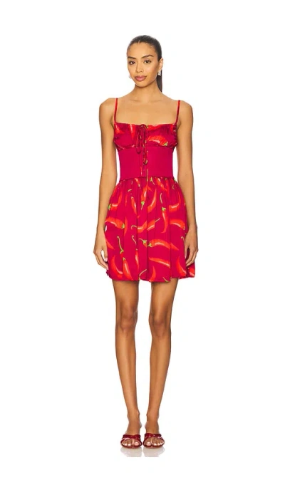 Leslie Amon Slip Corset Mini Dress In Red