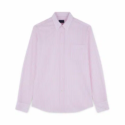 Paul & Shark Camicia In Cotone Con Motivo A Righe In Bianco Righe Rosa