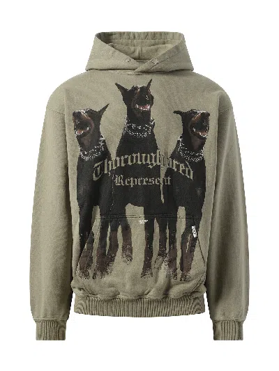 Represent Thorough Sweatshirt In Khaki