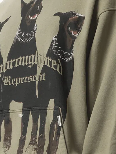 Represent Thorough Sweatshirt In Khaki