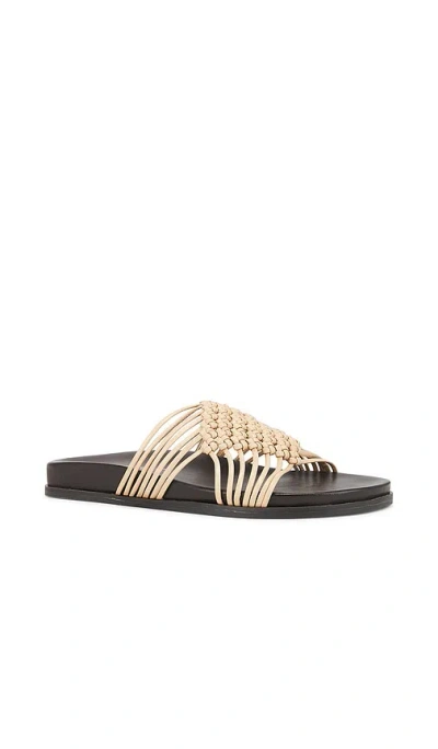 Jeffrey Campbell Plait Sandal In Buff