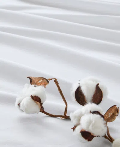 510 Design Super 144-thread Count Cotton 4-pc. Sheet Set, Queen In White