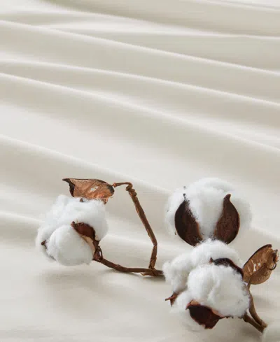 510 Design Super 144-thread Count Cotton 4-pc. Sheet Set, Queen In Ivory