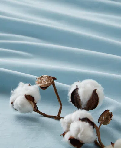 510 Design Super 144-thread Count Cotton 4-pc. Sheet Set, King In Light Blue