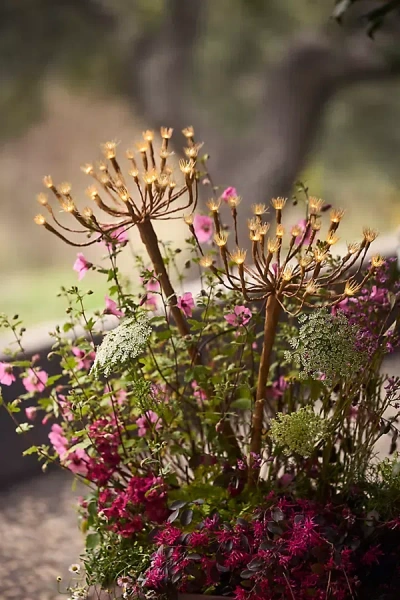 Terrain Solar Fennel Led Stake Light