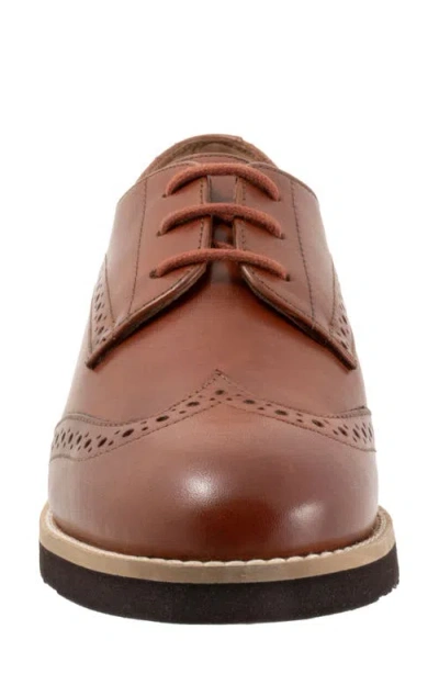 Softwalk ® Willet Wingtip Derby In Brown