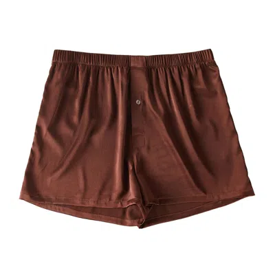 Soft Strokes Silk Brown Deep Coffee Pure Mulberry Silk Men's Boxers In Brown