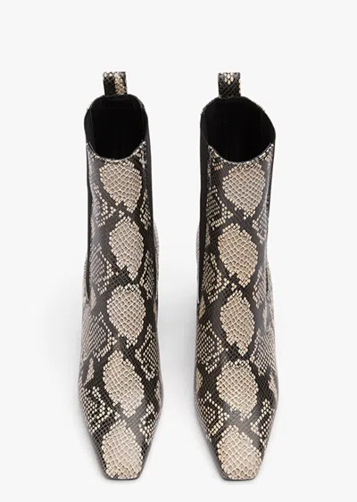 Tony Bianco Ivana Ecru Snake In Ecru Snake