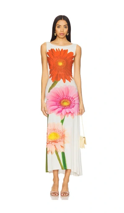 Tyler Mcgillivary Gerbera Flower Bloom Print Midi Shift Dress In Ivory