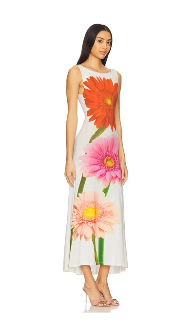 Tyler Mcgillivary Gerbera Flower Bloom Print Midi Shift Dress In Ivory