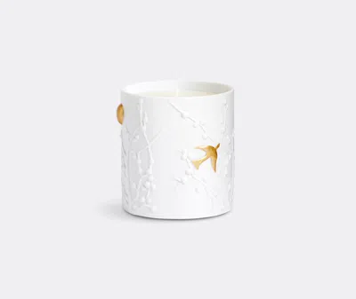 L'objet Candlelight And Scents Multicolor Uni In Multicolor