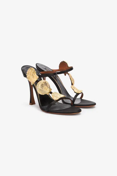 Roberto Cavalli Black Sandal With Shell Motif In Black