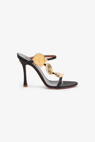 Roberto Cavalli Black Sandal With Shell Motif In Black