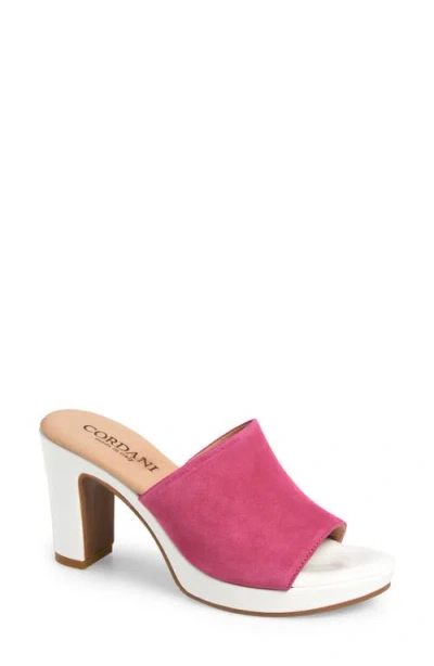 Cordani Vonnie Slide Sandal In Fuchsia Suede