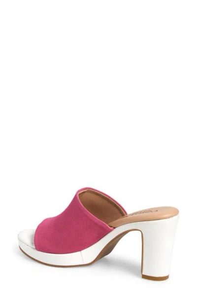 Cordani Vonnie Slide Sandal In Fuchsia Suede