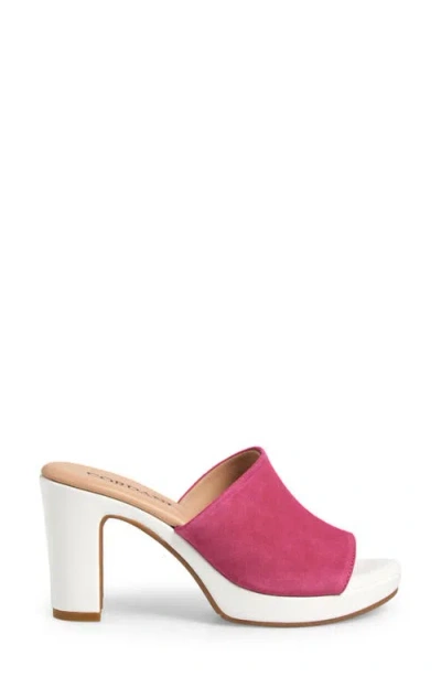 Cordani Vonnie Slide Sandal In Fuchsia Suede