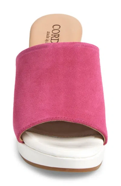 Cordani Vonnie Slide Sandal In Fuchsia Suede