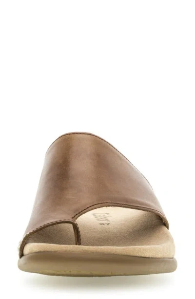 Gabor Asymmetric Flip Flop In Peanut