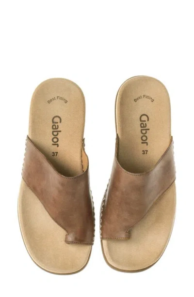 Gabor Asymmetric Flip Flop In Peanut