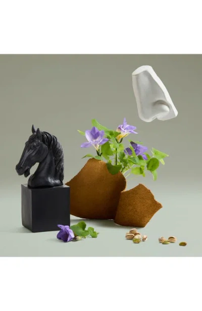 Penhaligon's Fortuitous Finley Eau De Parfum In No Color