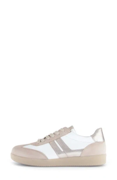 Gabor 63.300 Sneaker In Multi