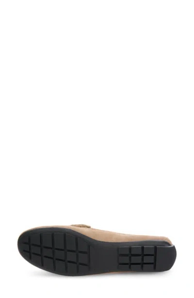 Vaneli Aiker Driving Loafer In Brown