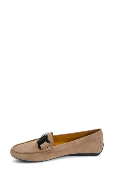 Vaneli Aiker Driving Loafer In Brown
