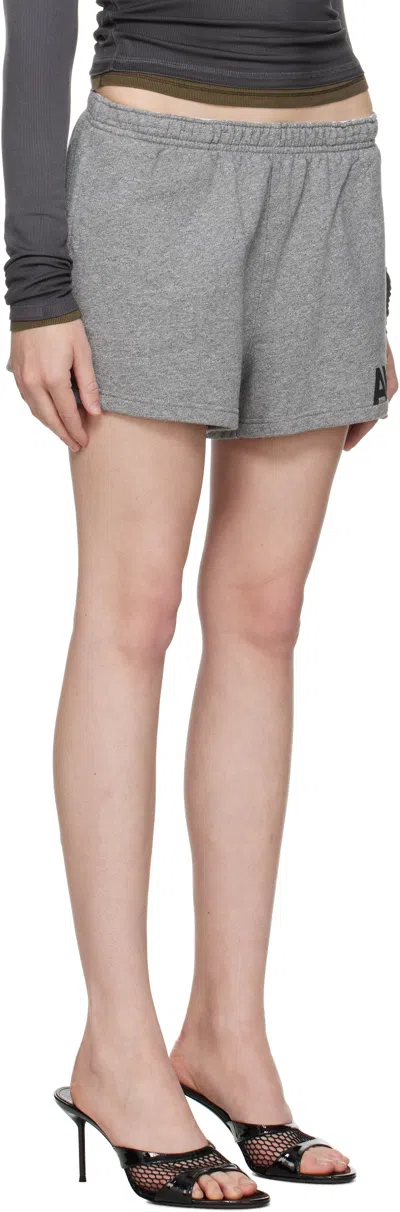 Alexander Wang T T By Alexander Wang 'running' Shorts In Gray