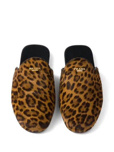 Prada Leopard-print Leather Mules In ニュートラル