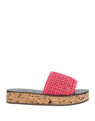 Ancient Greek Sandals Lucy Williams X  Woman Sandals Magenta Size 8 Natural Raf In Magenta