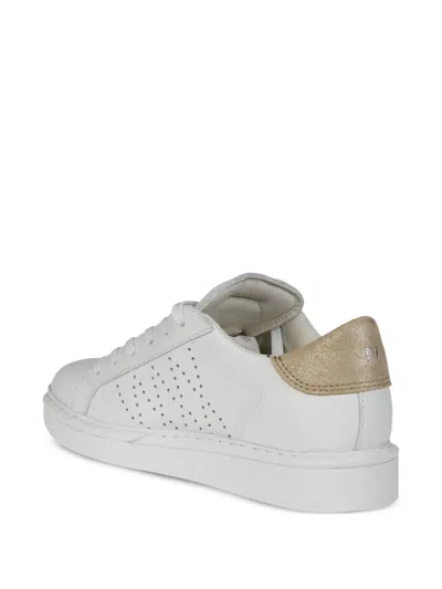Pànchic Panchic Lace Up Shoe Leather In White