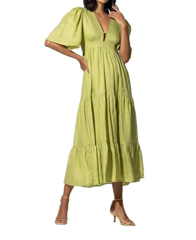 Lusana Brooklyn Linen Dress In Sage In Multi