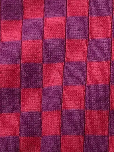 Pre-owned Louis Vuitton 1990-2010s Checkerboard Vest In Purple