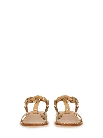 Ash Crocodile Print Sandal With Studs In Brown