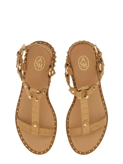 Ash Crocodile Print Sandal With Studs In Brown