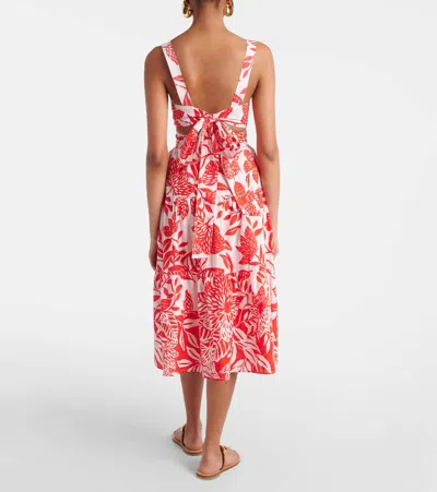 Poupette St Barth Coco Floral Cotton Midi Dress In Red