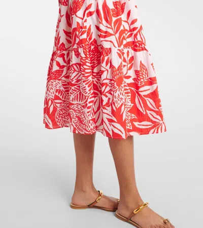 Poupette St Barth Coco Floral Cotton Midi Dress In Red