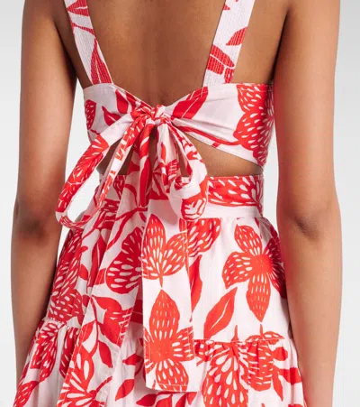 Poupette St Barth Coco Floral Cotton Midi Dress In Red
