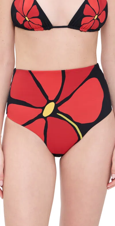 Cala De La Cruz Eliza Floral Bikini Bottom In Camelliacarmin