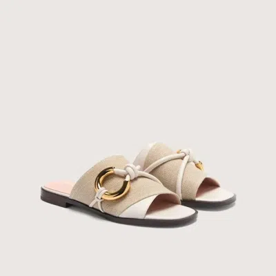Coccinelle Carmy Canvas Bicolor In Multi