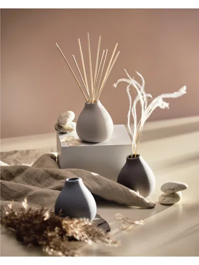 Aery Persian Thyme Fernweh Diffuser