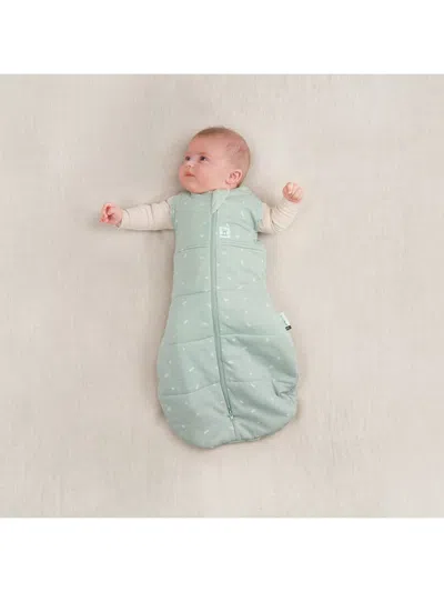 Ergopouch Cocoon Swaddle Bag 2 Half Tog 0-3m In Sage