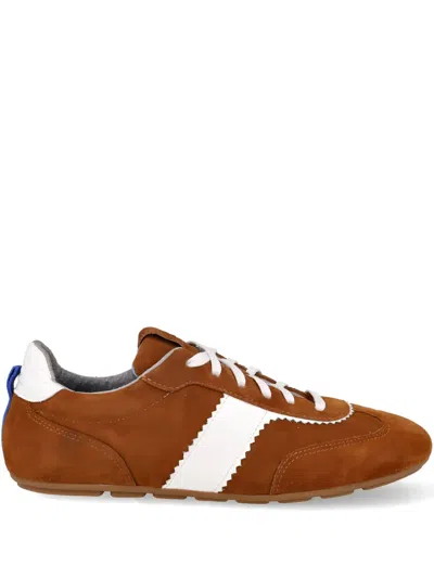 Blue Bird Shoes Suede Lace-up Sneakers In Brown