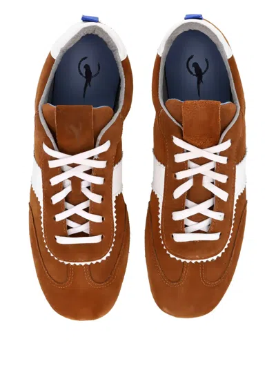Blue Bird Shoes Suede Lace-up Sneakers In Brown