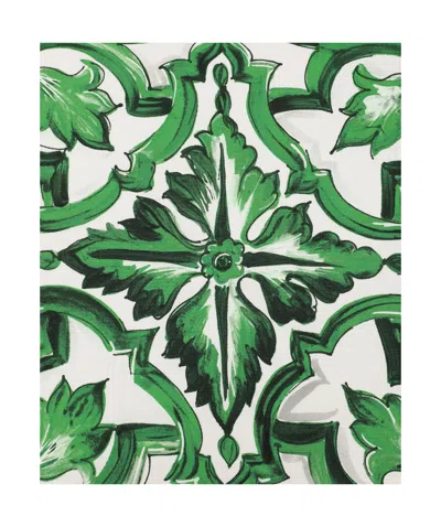 Dolce & Gabbana Canvas Cushion Small In Green