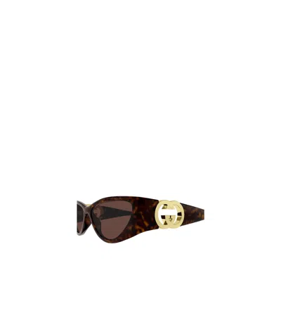 Gucci Eyewear Cat-eye Frame Sunglasses In Havana