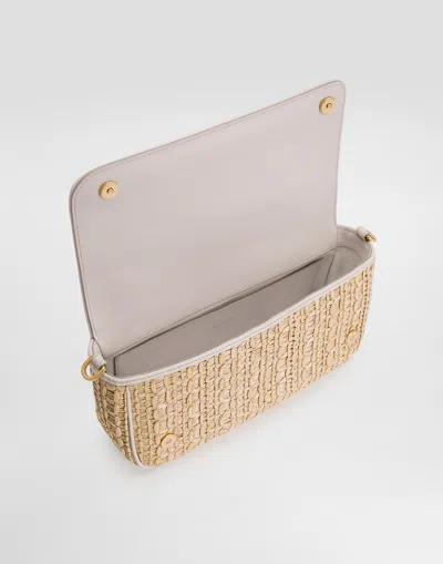 Dolce & Gabbana Rafia Crochet Shoulder Bag In Multicolor