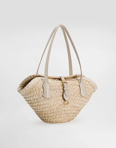 Dolce & Gabbana Coffa Capri Bag In Multicolor